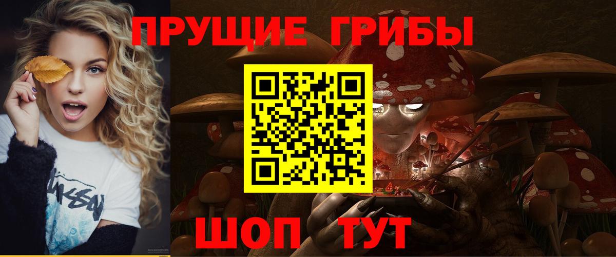 купить наркотик  Галлюциногенные грибы мухоморы  Вход с VPN  Галлюциногенные грибы мицелий  Курчатов 